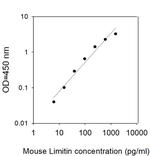 Human/Mouse Limitin ELISA Kit
