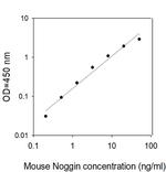 Mouse Noggin ELISA Kit