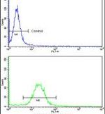 Emerin Antibody in Flow Cytometry (Flow)