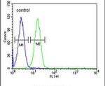 EMX2 Antibody in Flow Cytometry (Flow)