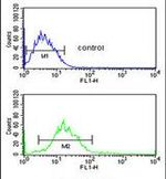 ENDOG Antibody in Flow Cytometry (Flow)