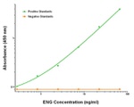 ENG Antibody in ELISA (ELISA)