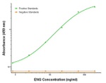ENG Antibody in ELISA (ELISA)