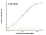 ENG Antibody in ELISA (ELISA)