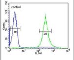 ENPP7 Antibody in Flow Cytometry (Flow)