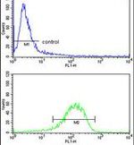 ENTPD2 Antibody in Flow Cytometry (Flow)