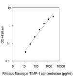 Human/Rhesus Monkey TIMP-1 ELISA Kit