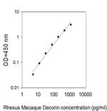 Rhesus Monkey Decorin ELISA Kit