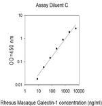Rhesus Monkey/Mouse Galectin-1 ELISA Kit