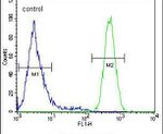 HIF-2 alpha Antibody in Flow Cytometry (Flow)