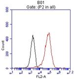 EPCAM Antibody in Flow Cytometry (Flow)