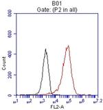 EPCAM Antibody in Flow Cytometry (Flow)