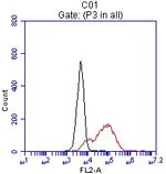 EPCAM Antibody in Flow Cytometry (Flow)