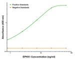 EPHX1 Antibody in ELISA (ELISA)
