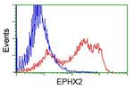 EPHX2 Antibody in Flow Cytometry (Flow)