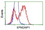 EPM2AIP1 Antibody in Flow Cytometry (Flow)