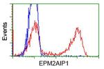 EPM2AIP1 Antibody in Flow Cytometry (Flow)