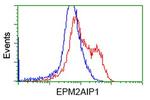 EPM2AIP1 Antibody in Flow Cytometry (Flow)