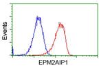 EPM2AIP1 Antibody in Flow Cytometry (Flow)