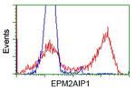 EPM2AIP1 Antibody in Flow Cytometry (Flow)