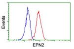 EPN2 Antibody in Flow Cytometry (Flow)