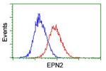 EPN2 Antibody in Flow Cytometry (Flow)