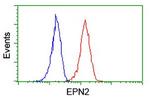 EPN2 Antibody in Flow Cytometry (Flow)