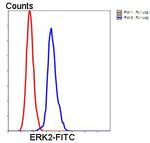 ERK2 Antibody in Flow Cytometry (Flow)