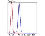 Glut-1 Antibody in Flow Cytometry (Flow)