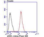 SOD1 Antibody in Flow Cytometry (Flow)