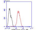 GAPDH Antibody in Flow Cytometry (Flow)