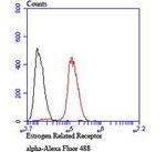 Estrogen Related Receptor alpha Antibody in Flow Cytometry (Flow)