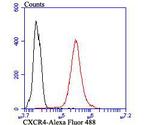 CXCR4 Antibody in Flow Cytometry (Flow)
