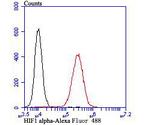 HIF1 alpha Antibody in Flow Cytometry (Flow)