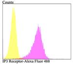 IP3 Receptor Antibody in Flow Cytometry (Flow)