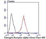Estrogen Receptor alpha Antibody in Flow Cytometry (Flow)