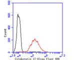 Cytokeratin 17 Antibody in Flow Cytometry (Flow)