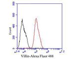 Villin1 Antibody in Flow Cytometry (Flow)