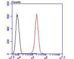 DLL4 Antibody in Flow Cytometry (Flow)