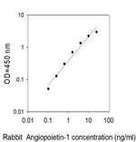 Human/Rabbit Angiopoietin-1 ELISA Kit