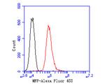 MFF Antibody in Flow Cytometry (Flow)