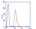 EPHA2 Antibody in Flow Cytometry (Flow)