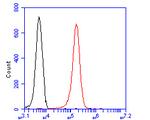 CLIC2 Antibody in Flow Cytometry (Flow)