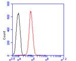 Transferrin Antibody in Flow Cytometry (Flow)