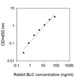 Rabbit BLC/CXCL13 ELISA Kit
