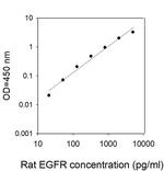 Rat EGFR ELISA Kit