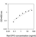 Rat EPO ELISA Kit
