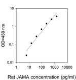 Rat JAM-A ELISA Kit