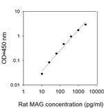 Rat MAG ELISA Kit