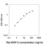 Rat MMP-2 ELISA Kit